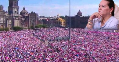 Advierte presidenta del INE Guadalupe Taddei: Si Xóchitl Gálvez asiste a evento de “marea rosa”, será acto de campaña fiscalizado