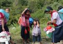 Más de 200 mil niños y adolescentes en riesgo por violencia en Chiapas, alerta organización