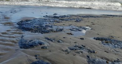 Fuga ignorada, desastre consumado: Pemex admite el derrame y responde con destituciones tardías