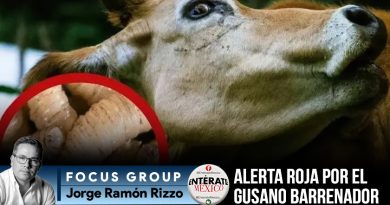 Focus Group