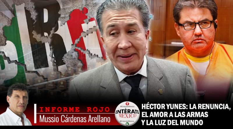 Informe Rojo