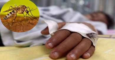 Dengue fuera de control en Tabasco: seis de cada diez pacientes presentan cuadros graves o signos de alarma